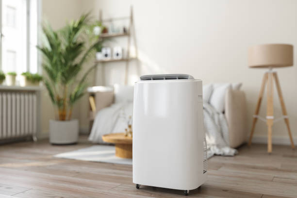 Best Ductless HVAC Repair  in Lanse, MI